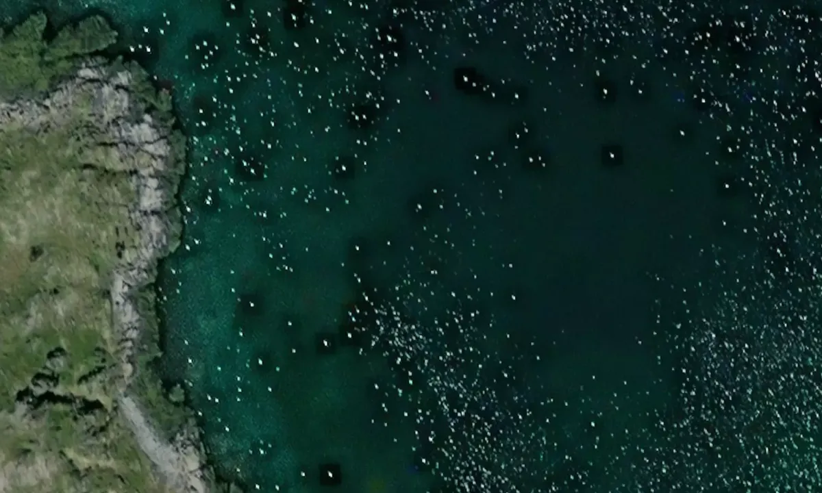 Satelite image of Trollfjorden