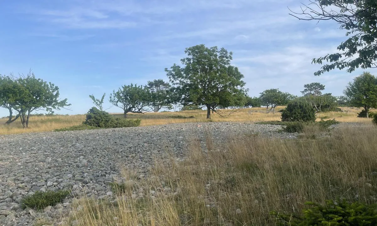 Tromlingene: Veldig spesiell og fin natur på Tromlingane.