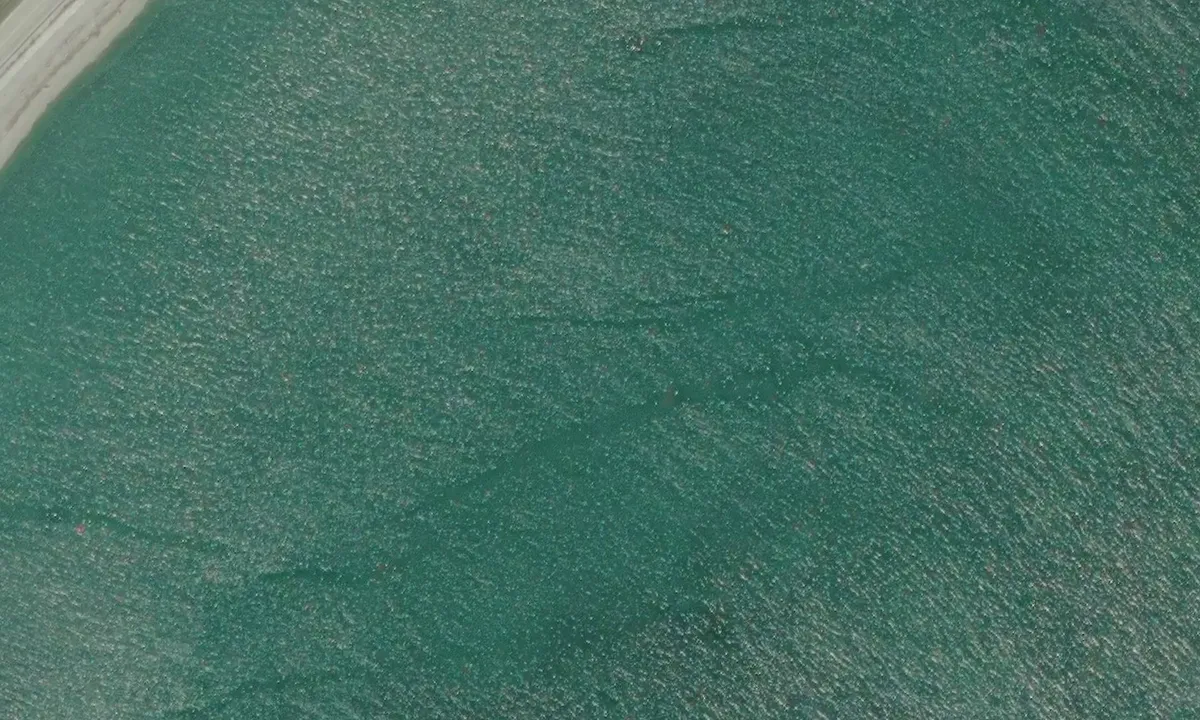 Satelite image of Tsawwassen Beach