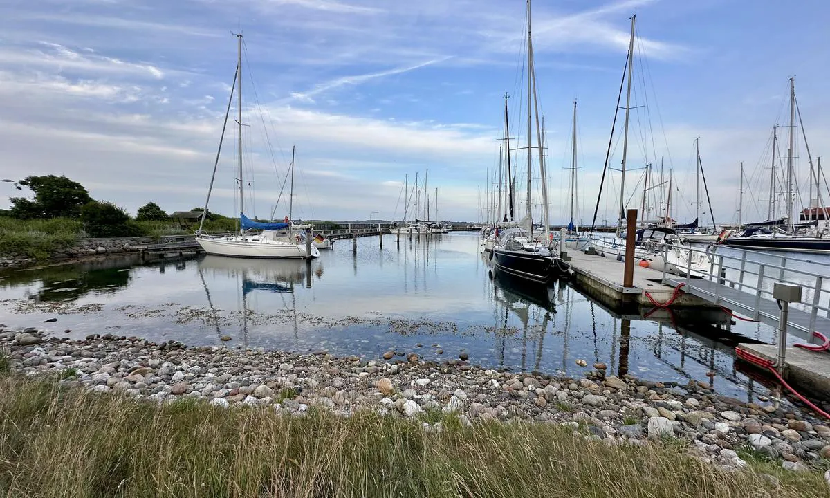 Tunø Havn: Gjesteplasser med påler og longsideplasser.