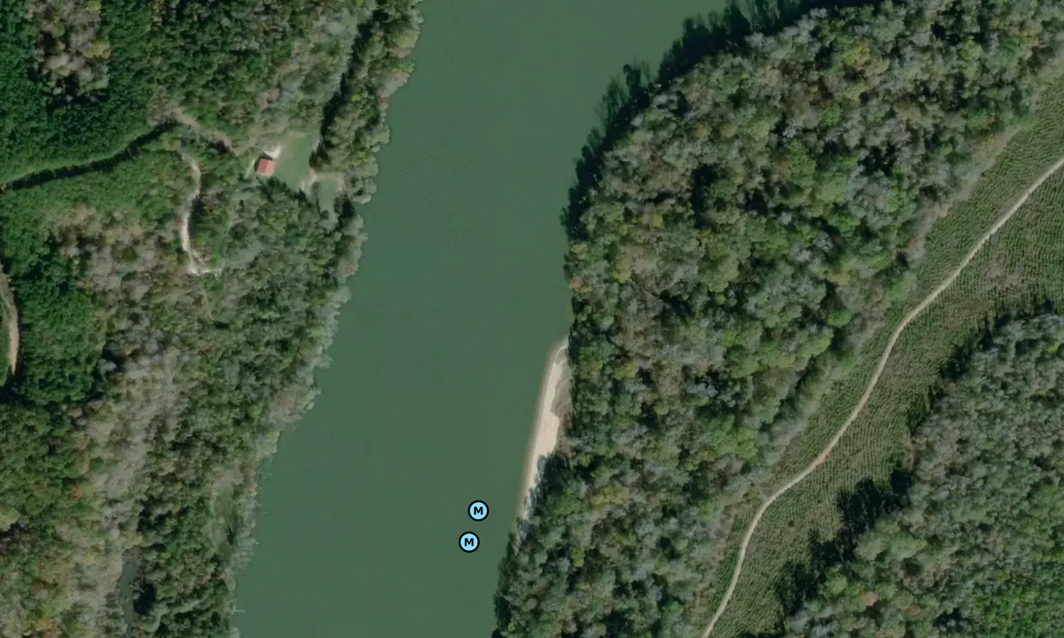 Satelite image of Turkey Point