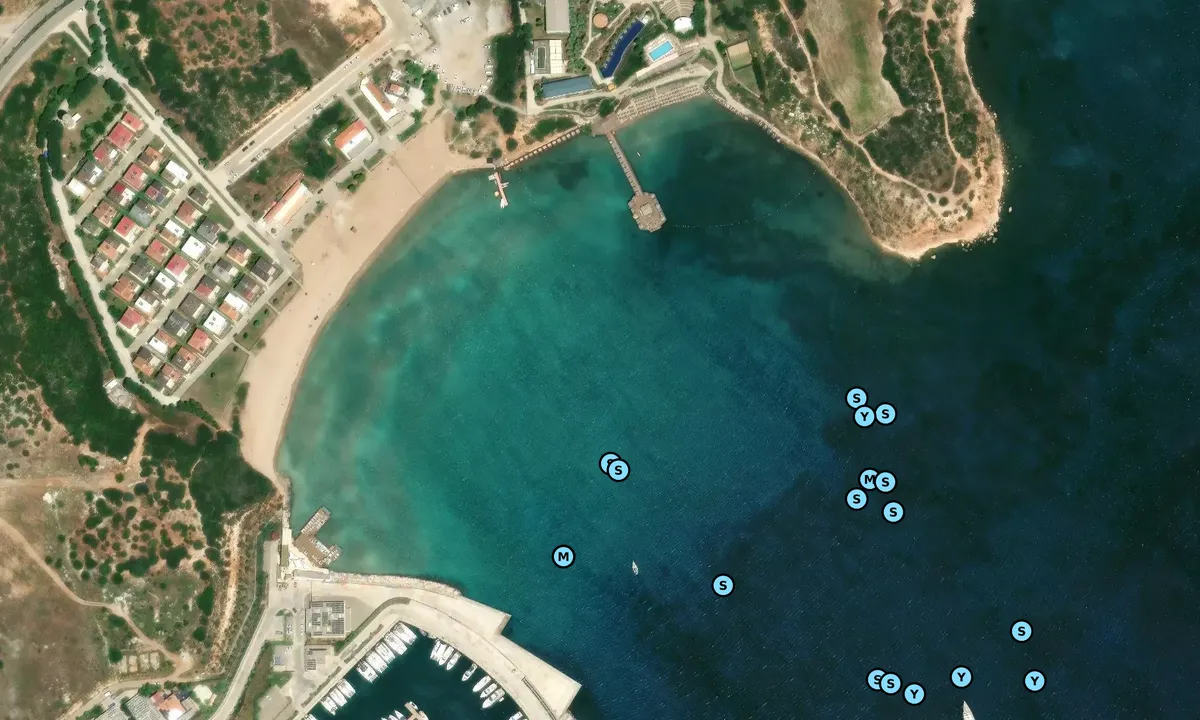 Satelite image of Turnali Koyu