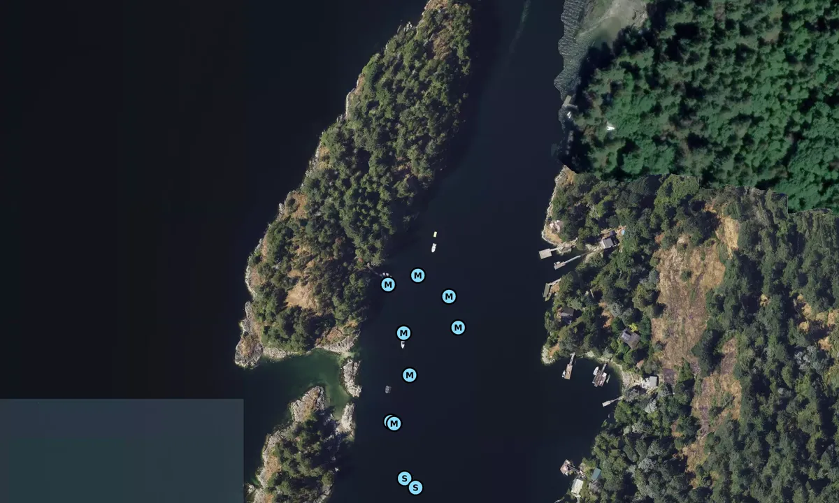Satelite image of Twin Islands Marine Park Dock