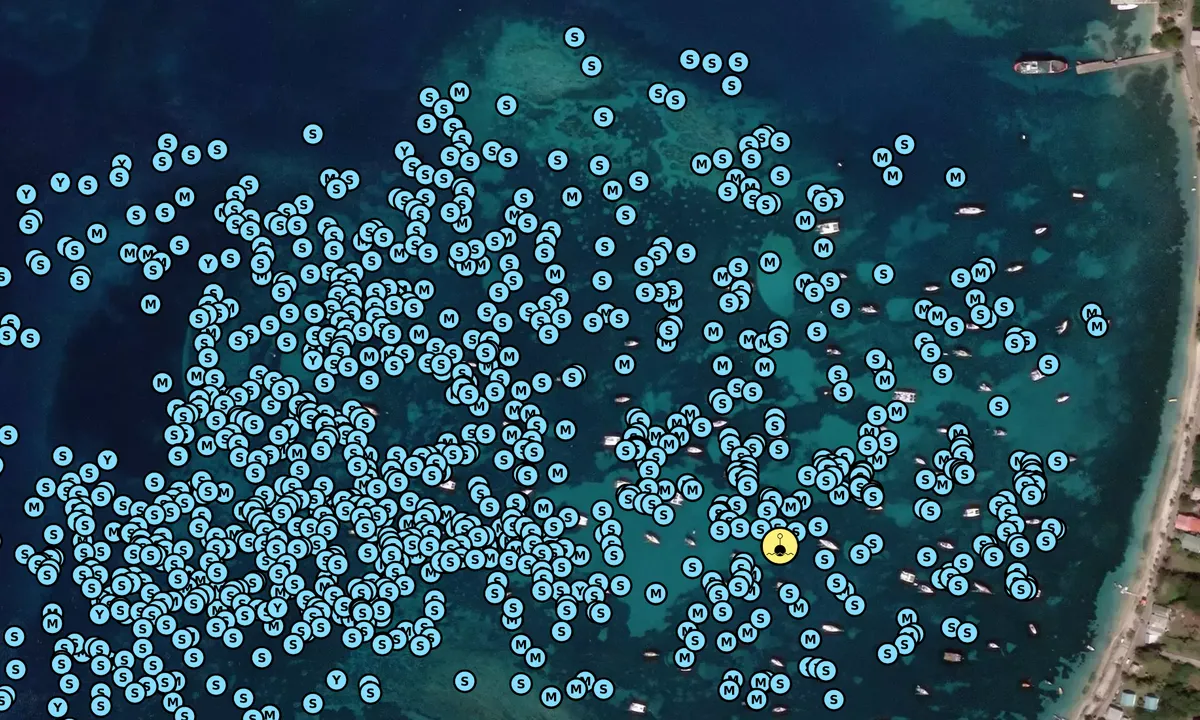 Satelite image of Tyrrel Bay