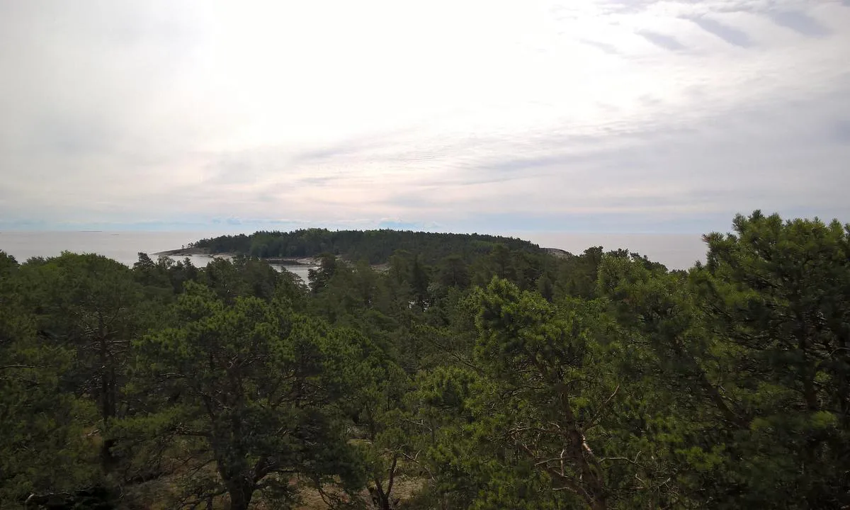 Ulko-tammio: View from watch tower