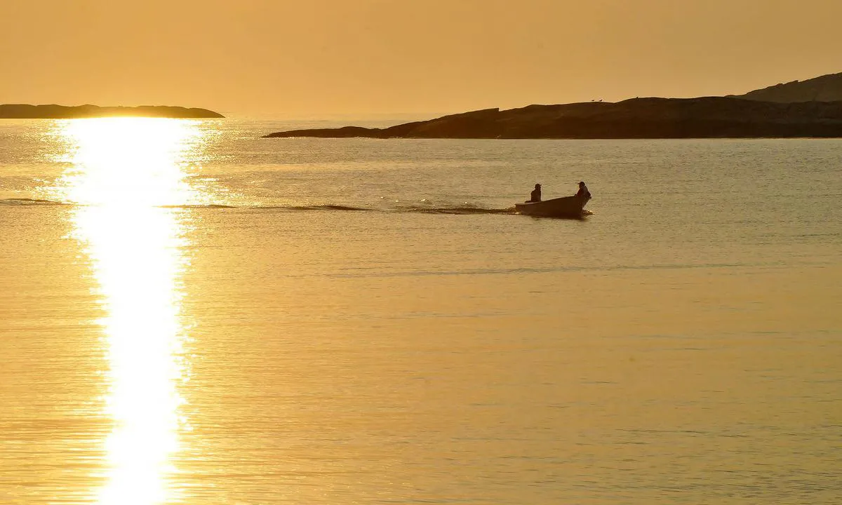 Ulsholmen, juli 2009.