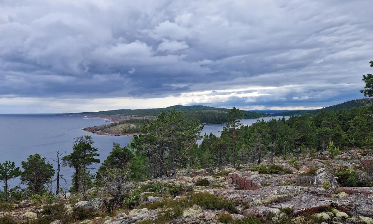 Ulvöhamn - Kommunkajen: {"base": "en", "no": "P\u00e5 \u00f8stsiden kan du f\u00f8lge en sti til et flott utsiktspunkt. \"Kj\u00e6reste-benken\" er skiltet.", "se": "P\u00e5 \u00f6stra sidan kan du f\u00f6lja en stig till en fin utsiktspunkt.<br>Den \"\u00e4lskarb\u00e4nken\" \u00e4r skyltad.", "en": "On the East side you can follow a path to a nice view point.\r\nThe \"Lover bench\" is signed posted.", "da": "P\u00e5 \u00f8stsiden kan du f\u00f8lge en sti til et flot udsigtspunkt. <br> <br> \"K\u00e6reste-b\u00e6nken\" er skiltet.", "fr": "Du c\u00f4t\u00e9 est, vous pouvez suivre un chemin jusqu'\u00e0 un beau point de vue. Le \"banc des amoureux\" est indiqu\u00e9.", "de": "Auf der Ostseite k\u00f6nnen Sie einem Pfad zu einem sch\u00f6nem Aussichtspunkt folgen. Die \"Lover-Bank\" ist ausgeschildert.", "es": "En el lado este se puede seguir un camino hasta un bonito mirador. El \"Banco de los enamorados\" est\u00e1 se\u00f1alizado.", "it": "Sul lato est si pu\u00f2 seguire un sentiero che porta a un bel punto panoramico. La <i>panchina dell'innamorato</i> \u00e8 segnalata.", "pt": "No lado leste, voc\u00ea pode seguir um caminho at\u00e9 um mirante agrad\u00e1vel. O banco dos namorados est\u00e1 sinalizado.", "nl": "Aan de oostzijde kunt u een pad volgen naar een mooi uitkijkpunt. De \"Lover bench\" is aangegeven met bordjes.", "pl": "Po wschodniej stronie mo\u017cesz pod\u0105\u017ca\u0107 \u015bcie\u017ck\u0105 do \u0142adnego punktu widokowego. \u0141awka zakochanych jest oznakowana.", "uk": "\u0417 \u0441\u0445\u0456\u0434\u043d\u043e\u0433\u043e \u0431\u043e\u043a\u0443 \u0432\u0438 \u043c\u043e\u0436\u0435\u0442\u0435 \u043f\u0440\u043e\u0439\u0442\u0438 \u0441\u0442\u0435\u0436\u043a\u043e\u044e \u0434\u043e \u043a\u0440\u0430\u0441\u0438\u0432\u043e\u0457 \u043e\u0433\u043b\u044f\u0434\u043e\u0432\u043e\u0457 \u0442\u043e\u0447\u043a\u0438. \"\u041b\u0430\u0432\u0430 \u043a\u043e\u0445\u0430\u043d\u0446\u0456\u0432\" \u043f\u043e\u0437\u043d\u0430\u0447\u0435\u043d\u0430 \u0437\u043d\u0430\u043a\u043e\u043c.", "ro": "Pe partea de est pute\u021bi urma o potec\u0103 p\u00e2n\u0103 la un punct de belvedere frumos. Banca '\u00cendr\u0103gosti\u021bilor' este semnalizat\u0103.", "tr": "Do\u011fu taraf\u0131nda g\u00fczel bir manzara noktas\u0131na giden bir yol izleyebilirsiniz. \"A\u015f\u0131k Bank\u0131\" i\u015faretlerle belirtilmi\u015ftir.", "el": "\u03a3\u03c4\u03b7\u03bd \u03b1\u03bd\u03b1\u03c4\u03bf\u03bb\u03b9\u03ba\u03ae \u03c0\u03bb\u03b5\u03c5\u03c1\u03ac \u03bc\u03c0\u03bf\u03c1\u03b5\u03af\u03c4\u03b5 \u03bd\u03b1 \u03b1\u03ba\u03bf\u03bb\u03bf\u03c5\u03b8\u03ae\u03c3\u03b5\u03c4\u03b5 \u03ad\u03bd\u03b1 \u03bc\u03bf\u03bd\u03bf\u03c0\u03ac\u03c4\u03b9 \u03bc\u03ad\u03c7\u03c1\u03b9 \u03ad\u03bd\u03b1 \u03c9\u03c1\u03b1\u03af\u03bf \u03c3\u03b7\u03bc\u03b5\u03af\u03bf \u03b8\u03ad\u03b1\u03c2. \u03a4\u03bf '\u03c0\u03b1\u03b3\u03ba\u03ac\u03ba\u03b9 \u03c4\u03c9\u03bd \u03b5\u03c1\u03b1\u03c3\u03c4\u03ce\u03bd' \u03b5\u03af\u03bd\u03b1\u03b9 \u03c3\u03b7\u03bc\u03b5\u03b9\u03c9\u03bc\u03ad\u03bd\u03bf \u03bc\u03b5 \u03c0\u03b9\u03bd\u03b1\u03ba\u03af\u03b4\u03b1.", "cs": "Na v\u00fdchodn\u00ed stran\u011b m\u016f\u017eete n\u00e1sledovat stezku k p\u011bkn\u00e9mu vyhl\u00eddkov\u00e9mu bodu. <br> \"Lavi\u010dka milenc\u016f\" je ozna\u010dena.", "hu": "A keleti oldalon egy \u00f6sv\u00e9nyt k\u00f6vetve eljuthat egy sz\u00e9p kil\u00e1t\u00f3pontra.<br>A \"Szerelmesek padja\" ki van t\u00e1bl\u00e1zva.", "fi": "It\u00e4puolella voit seurata polkua kauniille n\u00e4k\u00f6alapaikalle. \"Rakkauspenkki\" on merkitty opastein.", "bg": "\u041e\u0442 \u0438\u0437\u0442\u043e\u0447\u043d\u0430\u0442\u0430 \u0441\u0442\u0440\u0430\u043d\u0430 \u043c\u043e\u0436\u0435\u0442\u0435 \u0434\u0430 \u0441\u043b\u0435\u0434\u0432\u0430\u0442\u0435 \u043f\u044a\u0442\u0435\u043a\u0430 \u0434\u043e \u0445\u0443\u0431\u0430\u0432\u0430 \u0433\u043b\u0435\u0434\u043d\u0430 \u0442\u043e\u0447\u043a\u0430. \"\u041f\u0435\u0439\u043a\u0430\u0442\u0430 \u043d\u0430 \u0432\u043b\u044e\u0431\u0435\u043d\u0438\u0442\u0435\" \u0435 \u043e\u0431\u043e\u0437\u043d\u0430\u0447\u0435\u043d\u0430 \u0441\u044a\u0441 \u0437\u043d\u0430\u043a.", "sr": "Na isto\u010dnoj strani mo\u017eete pratiti stazu do lepog vidikovca. <br> \"Klupa zaljubljenih\" je ozna\u010dena.", "et": "Ida poole j\u00e4\u00e4b rada, mis viib ilusa vaatepunktini. \"Armastajate pink\" on t\u00e4histatud sildiga.", "lv": "Austrumu pus\u0113 j\u016bs varat sekot ce\u013cam uz skatu punktu ar jauku ainavu. \"M\u012bl\u0113t\u0101ju sols\" ir apz\u012bm\u0113ts ar z\u012bmi.", "lt": "Rytin\u0117je pus\u0117je galite sekti takeliu iki gra\u017eaus ap\u017evalgos ta\u0161ko. \u201e\u012esimyl\u0117j\u0117li\u0173 suoliukas\u201c yra pa\u017eenklintas."}