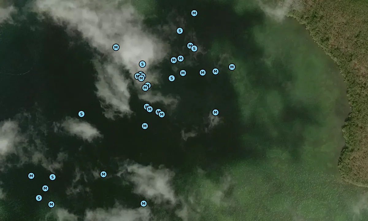 Satelite image of Upper Buttonwood Sound