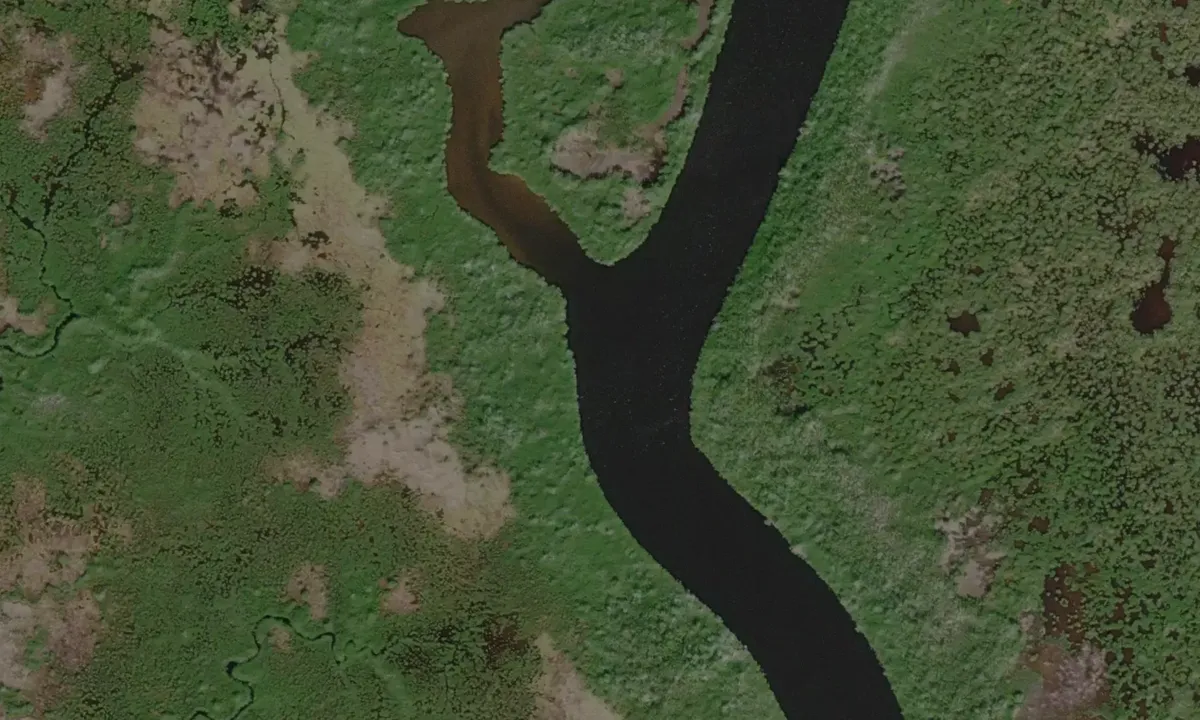 Satelite image of Upper Shark River