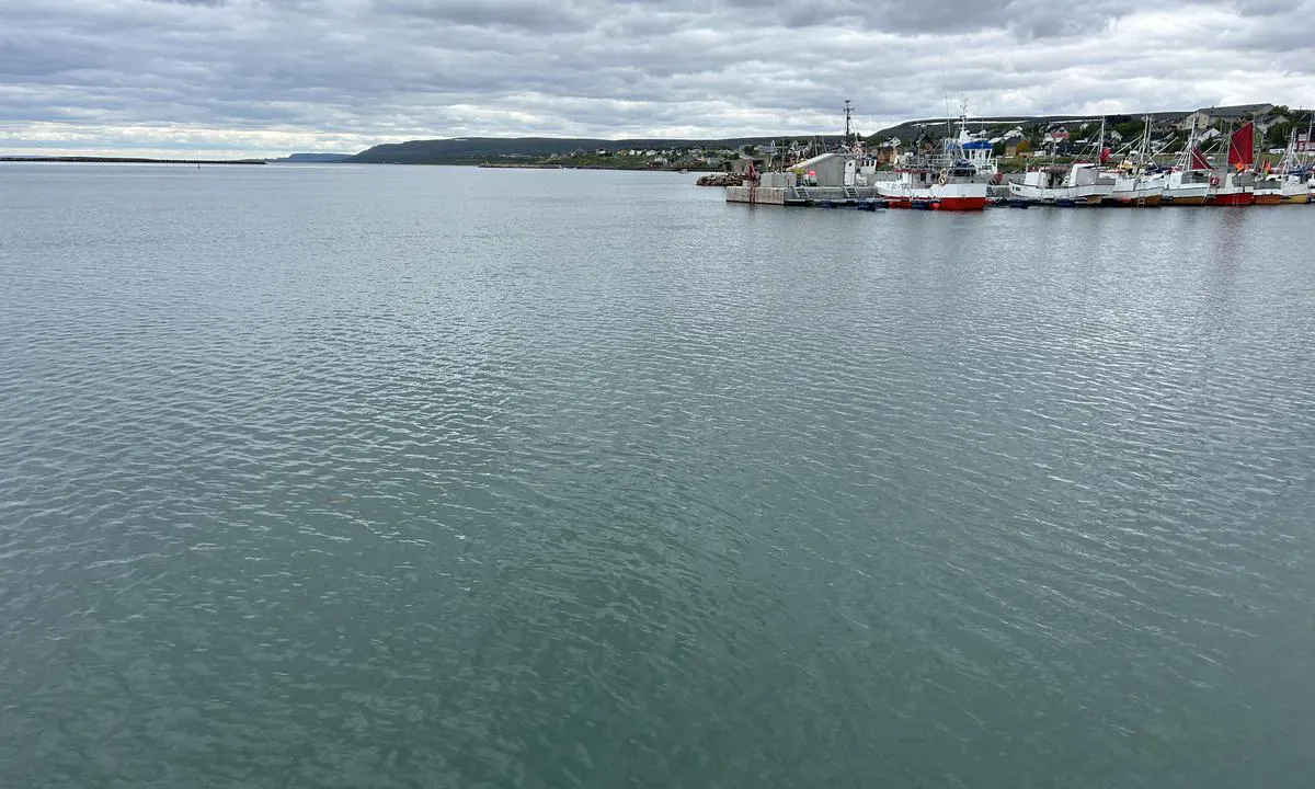 Vadsø Havn: {"base": "no", "no": "Den store betongflytebryggen sett mot vest. Kortenden eller ledige b\u00e5ser kan benyttes etter avtale med havnevakten. Denne bryggen har ikke port. \u00d8vrige flytebrygger er l\u00e5st med porter.", "se": "Den stora betongflytbryggan sedd mot v\u00e4st. Kort\u00e4nden eller lediga platser kan anv\u00e4ndas efter avtal med hamnvakten. Denna brygga har ingen port. \u00d6vriga flytbryggor \u00e4r l\u00e5sta med portar.", "en": "The large concrete floating dock seen towards the west. The short end or available berths can be used by agreement with the harbor watch. This dock does not have a gate. Other floating docks are locked with gates.", "da": "Den store betonflydebro set mod vest. Den korte ende eller ledige b\u00e5se kan benyttes efter aftale med havnevagten. Denne bro har ikke en port. \u00d8vrige flydebroer er l\u00e5st med porte.", "fr": "Le grand quai flottant en b\u00e9ton vu vers l'ouest. L'extr\u00e9mit\u00e9 courte ou les places disponibles peuvent \u00eatre utilis\u00e9es apr\u00e8s accord avec le garde-port. Ce quai n'a pas de porte. Les autres quais flottants sont verrouill\u00e9s avec des portes.", "de": "Der gro\u00dfe Beton-Schwimmsteg gesehen nach Westen. Das kurze Ende oder freie Liegepl\u00e4tze k\u00f6nnen nach Absprache mit dem Hafenw\u00e4chter genutzt werden. Dieser Steg hat kein Tor. \u00dcbrige Schwimmstege sind mit Toren verschlossen.", "es": "El gran muelle flotante de hormig\u00f3n visto hacia el oeste. El extremo corto o los puestos disponibles se pueden utilizar previa consulta con el guardi\u00e1n del puerto. Este muelle no tiene puerta. Los otros muelles flotantes est\u00e1n cerrados con puertas.", "it": "<p>Il grande pontile galleggiante in cemento visto verso ovest. L'estremit\u00e0 corta o i posti barca liberi possono essere utilizzati previo accordo con la guardia portuale. Questo pontile non ha un portone. Gli altri pontili galleggianti sono chiusi con portoni.</p>", "pt": "O grande cais flutuante de concreto visto em dire\u00e7\u00e3o ao oeste. A extremidade curta ou vagas dispon\u00edveis podem ser usadas ap\u00f3s acordo com o guarda do porto. Este cais n\u00e3o tem port\u00e3o. Outros cais flutuantes est\u00e3o trancados com port\u00f5es.", "nl": "De grote betonnen drijvende steiger gezien naar het westen. De korte zijde of vrije ligplaatsen kunnen gebruikt worden na overleg met de havenwachter. Deze steiger heeft geen poort. Overige drijvende steigers zijn afgesloten met poorten.", "pl": "Du\u017ca betonowa p\u0142ywaj\u0105ca przysta\u0144 widziana na zach\u00f3d. Kr\u00f3tka ko\u0144c\u00f3wka lub wolne miejsca do cumowania mog\u0105 by\u0107 u\u017cywane po uzgodnieniu ze stra\u017cnikiem portowym. Ta przysta\u0144 nie ma bramy. Pozosta\u0142e p\u0142ywaj\u0105ce przystanie s\u0105 zamkni\u0119te.", "uk": "\u0412\u0435\u043b\u0438\u043a\u0438\u0439 \u0431\u0435\u0442\u043e\u043d\u043d\u0438\u0439 \u043f\u043b\u0430\u0432\u0443\u0447\u0438\u0439 \u043f\u0440\u0438\u0447\u0430\u043b, \u0432\u0438\u0434 \u0437 \u0437\u0430\u0445\u043e\u0434\u0443. \u041a\u0456\u043d\u0446\u0435\u0432\u0443 \u0447\u0430\u0441\u0442\u0438\u043d\u0443 \u0430\u0431\u043e \u0432\u0456\u043b\u044c\u043d\u0456 \u043c\u0456\u0441\u0446\u044f \u043c\u043e\u0436\u043d\u0430 \u0432\u0438\u043a\u043e\u0440\u0438\u0441\u0442\u043e\u0432\u0443\u0432\u0430\u0442\u0438 \u0437\u0430 \u0434\u043e\u043c\u043e\u0432\u043b\u0435\u043d\u0456\u0441\u0442\u044e \u0437 \u0447\u0435\u0440\u0433\u043e\u0432\u0438\u043c \u0432 \u0433\u0430\u0432\u0430\u043d\u0456. \u0426\u0435\u0439 \u043f\u0440\u0438\u0447\u0430\u043b \u043d\u0435 \u043c\u0430\u0454 \u0432\u043e\u0440\u0456\u0442. \u0406\u043d\u0448\u0456 \u043f\u043b\u0430\u0432\u0443\u0447\u0456 \u043f\u0440\u0438\u0447\u0430\u043b\u0438 \u0437\u0430\u043c\u043a\u043d\u0435\u043d\u0456 \u043d\u0430 \u0432\u043e\u0440\u043e\u0442\u0430.", "ro": "Pontoonul mare de beton v\u0103zut spre vest. Cap\u0103tul scurt sau locurile libere pot fi utilizate prin acord cu paznicul portului. Acest ponton nu are poart\u0103. Celelalte pontoane sunt \u00eenchise cu por\u021bi.", "tr": "B\u00fcy\u00fck beton y\u00fczer iskele bat\u0131ya do\u011fru bak\u0131yor. K\u0131sa taraf\u0131 veya bo\u015f durumda olan b\u00f6lmeler, liman bek\u00e7isi ile yap\u0131lan anla\u015fmaya g\u00f6re kullan\u0131labilir. Bu iskelede kap\u0131 yoktur. Di\u011fer y\u00fczer iskeleler kap\u0131larla kilitlenmi\u015ftir.", "el": "\u0397 \u03bc\u03b5\u03b3\u03ac\u03bb\u03b7 \u03c4\u03c3\u03b9\u03bc\u03b5\u03bd\u03c4\u03ad\u03bd\u03b9\u03b1 \u03c0\u03bb\u03c9\u03c4\u03ae \u03c0\u03c1\u03bf\u03b2\u03bb\u03ae\u03c4\u03b1 \u03cc\u03c0\u03c9\u03c2 \u03c6\u03b1\u03af\u03bd\u03b5\u03c4\u03b1\u03b9 \u03c0\u03c1\u03bf\u03c2 \u03c4\u03b1 \u03b4\u03c5\u03c4\u03b9\u03ba\u03ac. \u03a4\u03b1 \u03ac\u03ba\u03c1\u03b1 \u03ae \u03bf\u03b9 \u03b5\u03bb\u03b5\u03cd\u03b8\u03b5\u03c1\u03b5\u03c2 \u03b8\u03ad\u03c3\u03b5\u03b9\u03c2 \u03bc\u03c0\u03bf\u03c1\u03bf\u03cd\u03bd \u03bd\u03b1 \u03c7\u03c1\u03b7\u03c3\u03b9\u03bc\u03bf\u03c0\u03bf\u03b9\u03b7\u03b8\u03bf\u03cd\u03bd \u03ba\u03b1\u03c4\u03cc\u03c0\u03b9\u03bd \u03c3\u03c5\u03bc\u03c6\u03c9\u03bd\u03af\u03b1\u03c2 \u03bc\u03b5 \u03c4\u03bf \u03bb\u03b9\u03bc\u03b5\u03bd\u03b9\u03ba\u03cc. \u0391\u03c5\u03c4\u03ae \u03b7 \u03c0\u03c1\u03bf\u03b2\u03bb\u03ae\u03c4\u03b1 \u03b4\u03b5\u03bd \u03ad\u03c7\u03b5\u03b9 \u03c0\u03cd\u03bb\u03b7. \u039f\u03b9 \u03c5\u03c0\u03cc\u03bb\u03bf\u03b9\u03c0\u03b5\u03c2 \u03c0\u03bb\u03c9\u03c4\u03ad\u03c2 \u03c0\u03c1\u03bf\u03b2\u03bb\u03ae\u03c4\u03b5\u03c2 \u03b5\u03af\u03bd\u03b1\u03b9 \u03ba\u03bb\u03b5\u03b9\u03c3\u03c4\u03ad\u03c2 \u03bc\u03b5 \u03c0\u03cd\u03bb\u03b5\u03c2.", "cs": "Velk\u00fd betonov\u00fd plovouc\u00ed p\u0159\u00edstavn\u00ed m\u016fstek s pohledem na z\u00e1pad. Kr\u00e1tk\u00fd konec nebo voln\u00e9 kotvi\u0161t\u011b lze pou\u017e\u00edt po dohod\u011b s p\u0159\u00edstavn\u00ed hl\u00eddkou. Tento m\u016fstek nem\u00e1 br\u00e1nu. Ostatn\u00ed plovouc\u00ed m\u016fstky jsou uzam\u010deny branami.", "hu": "A nagy betonalap\u00fa \u00fasz\u00f3 m\u00f3l\u00f3 nyugati ir\u00e1nyba n\u00e9zve. A r\u00f6vid oldal vagy szabad haj\u00f3helyek a kik\u00f6t\u0151i \u00fcgyeletes j\u00f3v\u00e1hagy\u00e1s\u00e1val haszn\u00e1lhat\u00f3k. Ez a m\u00f3l\u00f3 nem rendelkezik kapuval. A t\u00f6bbi \u00fasz\u00f3 m\u00f3l\u00f3 z\u00e1rral van ell\u00e1tva.", "fi": "Suuri betonikelluva laituri kohti l\u00e4ntt\u00e4. Lyhytt\u00e4 p\u00e4\u00e4t\u00e4 tai vapaita paikkoja voi k\u00e4ytt\u00e4\u00e4 sopimalla satamavahdin kanssa. T\u00e4ss\u00e4 laiturissa ei ole porttia. Muut kelluvat laiturit ovat lukittuja porteilla.", "bg": "\u0413\u043e\u043b\u0435\u043c\u0438\u044f\u0442 \u0431\u0435\u0442\u043e\u043d\u0435\u043d \u043f\u043b\u0430\u0432\u0430\u0449 \u043a\u0435\u0439, \u0433\u043b\u0435\u0434\u0430\u043d \u043d\u0430 \u0437\u0430\u043f\u0430\u0434. \u041a\u044a\u0441\u0430\u0442\u0430 \u0441\u0442\u0440\u0430\u043d\u0430 \u0438\u043b\u0438 \u0441\u0432\u043e\u0431\u043e\u0434\u043d\u0438\u0442\u0435 \u043c\u0435\u0441\u0442\u0430 \u043c\u043e\u0433\u0430\u0442 \u0434\u0430 \u0441\u0435 \u043f\u043e\u043b\u0437\u0432\u0430\u0442 \u0441\u043b\u0435\u0434 \u0443\u0433\u043e\u0432\u043e\u0440\u043a\u0430 \u0441 \u043f\u0440\u0438\u0441\u0442\u0430\u043d\u0438\u0449\u043d\u0430\u0442\u0430 \u043e\u0445\u0440\u0430\u043d\u0430. \u0422\u043e\u0437\u0438 \u043a\u0435\u0439 \u043d\u044f\u043c\u0430 \u043f\u043e\u0440\u0442\u0430. \u041e\u0441\u0442\u0430\u043d\u0430\u043b\u0438\u0442\u0435 \u043f\u043b\u0430\u0432\u0430\u0449\u0438 \u043a\u0435\u0439\u043e\u0432\u0435 \u0441\u0430 \u0437\u0430\u043a\u043b\u044e\u0447\u0435\u043d\u0438 \u0441 \u043f\u043e\u0440\u0442\u0438.", "sr": "Veliki betonski plutaju\u0107i kej gledan ka zapadu. Kratki deo ili slobodni boksovi mogu se koristiti prema dogovoru sa lu\u010dkim \u010duvarom. Ovaj kej nema kapiju. Ostali plutaju\u0107i kejovi su zaklju\u010dani kapijama.", "et": "<p>Suure betoonujukiga kai vaade l\u00e4\u00e4nde. L\u00fchikest otsa v\u00f5i vabu kohti saab kasutada kokkuleppel sadamavalvuriga. Sellel kail ei ole v\u00e4ravat. Teised ujukaiad on lukustatud v\u00e4ravatega.</p>", "lv": "Lielais betona peldo\u0161ais pontons skatoties uz rietumiem. \u012asa gala vai br\u012bvas laivu vietas var izmantot p\u0113c vieno\u0161an\u0101s ar ostas de\u017eurantu. \u0160im pontonam nav v\u0101rtu. P\u0101r\u0113jie peldo\u0161ie pontoni ir aizsl\u0113gti ar v\u0101rtiem.", "lt": "Didelis betoninis pl\u016bduriuojantis tiltas matomas \u012f vakarus. Galinis arba laisvas vietas galima naudoti susitarus su uosto sargu. \u0160is tiltas neturi vart\u0173. Kiti pl\u016bduriuojantys tiltai yra u\u017erakinti vartais."}