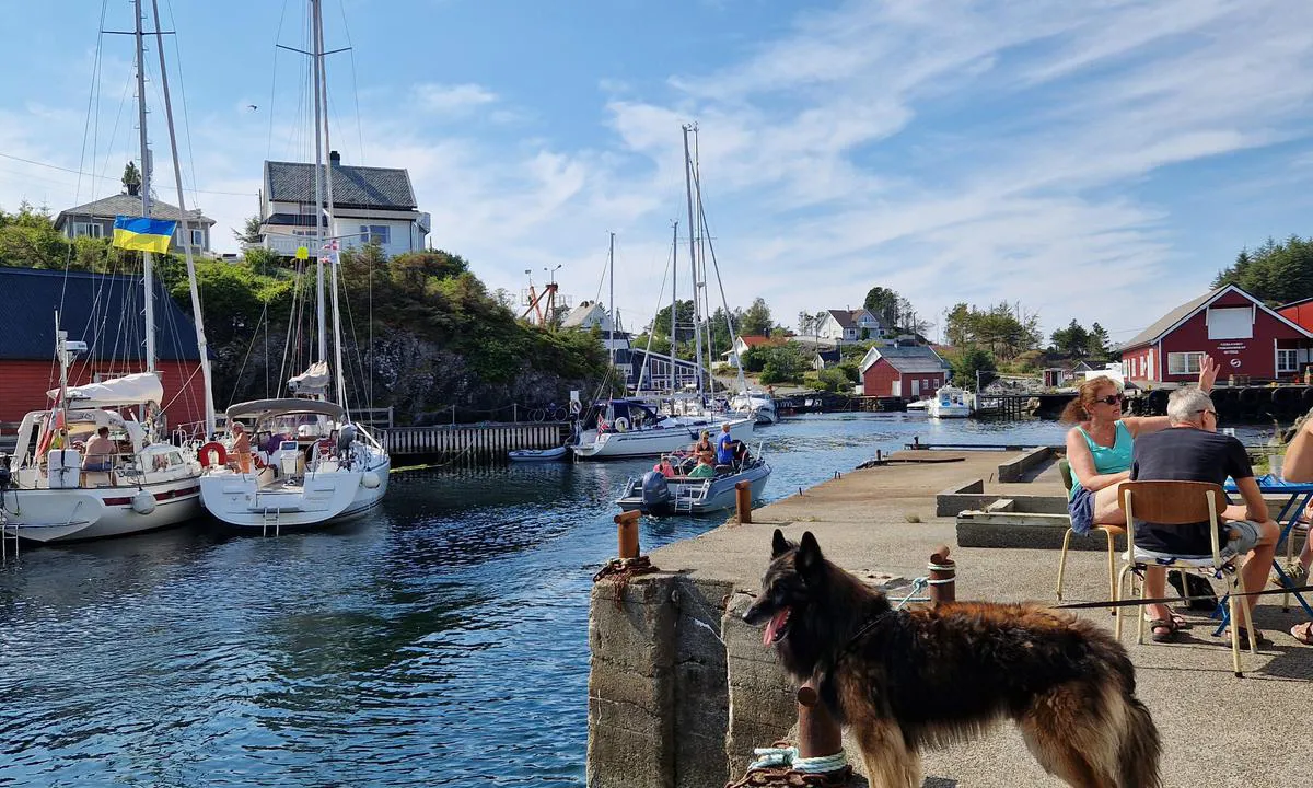 Værlandet: {"base": "no", "no": "Fra Hamnaholmen kafe. Nydelig pizza ! Kald \u00f8l.", "se": "Fr\u00e5n Hamnaholmen kaf\u00e9. Uts\u00f6kt pizza! Kall \u00f6l.", "en": "From Hamnaholmen caf\u00e9. Delicious pizza! Cold beer.", "da": "Fra Hamnaholmen caf\u00e9. L\u00e6kker pizza! Kold \u00f8l.", "fr": "De la caf\u00e9t\u00e9ria de Hamnaholmen. D\u00e9licieuse pizza ! Bi\u00e8re froide.", "de": "Von der Hamnaholmen Kafe. K\u00f6stliche Pizza! Kaltes Bier.", "es": "Desde Hamnaholmen caf\u00e9. \u00a1Deliciosa pizza! Cerveza fr\u00eda.", "it": "Dalla caffetteria Hamnaholmen. Deliziosa pizza! Birra fresca.", "pt": "Do caf\u00e9 Hamnaholmen. Pizza deliciosa! Cerveja gelada.", "nl": "Van Hamnaholmen caf\u00e9. Heerlijk pizza! Koud bier.", "pl": "Z Hamnaholmen kafe. Pyszna pizza! Zimne piwo.", "uk": "\u0412\u0456\u0434 \u043a\u0430\u0444\u0435 Hamnaholmen. \u0421\u043c\u0430\u0447\u043d\u0430 \u043f\u0456\u0446\u0430! \u0425\u043e\u043b\u043e\u0434\u043d\u0435 \u043f\u0438\u0432\u043e.", "ro": "De la cafeneaua Hamnaholmen. Pizza delicioas\u0103! Bere rece.", "tr": "Hamnaholmen kafe. Harika pizza! So\u011fuk bira.", "el": "\u0391\u03c0\u03cc \u03c4\u03bf \u03ba\u03b1\u03c6\u03ad Hamnaholmen. \u03a5\u03c0\u03ad\u03c1\u03bf\u03c7\u03b7 \u03c0\u03af\u03c4\u03c3\u03b1! \u039a\u03c1\u03cd\u03b1 \u03bc\u03c0\u03cd\u03c1\u03b1.", "cs": "Z Hamnaholmen kafe. V\u00fdborn\u00e1 pizza! Studen\u00e9 pivo.", "hu": "A Hamnaholmen k\u00e1v\u00e9z\u00f3b\u00f3l. Finom pizza! Hideg s\u00f6r.", "fi": "Hamnaholmenin kahvilasta. Ihanaa pizzaa! Kylm\u00e4\u00e4 olutta.", "bg": "\u041e\u0442 \u043a\u0430\u0444\u0435\u0442\u043e \u043d\u0430 Hamnaholmen. \u0412\u043a\u0443\u0441\u043d\u0430 \u043f\u0438\u0446\u0430! \u0421\u0442\u0443\u0434\u0435\u043d\u0430 \u0431\u0438\u0440\u0430.", "sr": "Iz Hamnaholmen kafi\u0107a. Predivna pizza! Hladno pivo.", "et": "Hamnaholmeni kohvikust. Maitsev pitsa! K\u00fclm \u00f5lu.", "lv": "No Hamnaholmen kafejn\u012bcas. Gar\u0161\u012bga pica! Auksts alus.", "lt": "Nuo Hamnaholm kavin\u0117s. Skani pica! \u0160altas alus."}