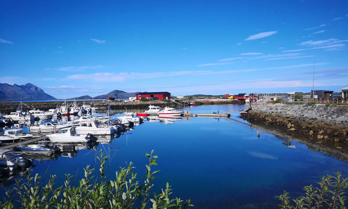 Våg Havn - Sandhornøy