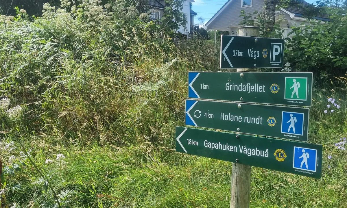 Våga kai (offentlig kai): {"base": "no", "no": "Turer i omr\u00e5de", "se": "Utflykter i omr\u00e5det", "en": "Trips in the area", "da": "Ture i omr\u00e5det", "fr": "Excursions dans la r\u00e9gion", "de": "Touren in der Umgebung", "es": "Excursiones en la zona", "it": "Escursioni nella zona", "pt": "Passeios na \u00e1rea", "nl": "Tochten in de omgeving", "pl": "Wycieczki w okolicy", "uk": "\u0422\u0443\u0440\u0438 \u0432 \u0440\u0430\u0439\u043e\u043d\u0456", "ro": "Excursii \u00een zon\u0103", "tr": "B\u00f6lgedeki turlar", "el": "\u03a0\u03b5\u03c1\u03b9\u03b7\u03b3\u03ae\u03c3\u03b5\u03b9\u03c2 \u03c3\u03c4\u03b7\u03bd \u03c0\u03b5\u03c1\u03b9\u03bf\u03c7\u03ae", "cs": "V\u00fdlety v oblasti", "hu": "Kir\u00e1ndul\u00e1sok a k\u00f6rny\u00e9ken", "fi": "Retket alueella", "bg": "\u0415\u043a\u0441\u043a\u0443\u0440\u0437\u0438\u0438 \u0432 \u0440\u0430\u0439\u043e\u043d\u0430", "sr": "\u041f\u0443\u0442\u043e\u0432\u0430\u045a\u0430 \u0443 \u043e\u0431\u043b\u0430\u0441\u0442\u0438", "et": "Ekskursioonid piirkonnas", "lv": "Ekskursijas apk\u0101rtn\u0113", "lt": "Ekskursijos \u0161iame regione"}