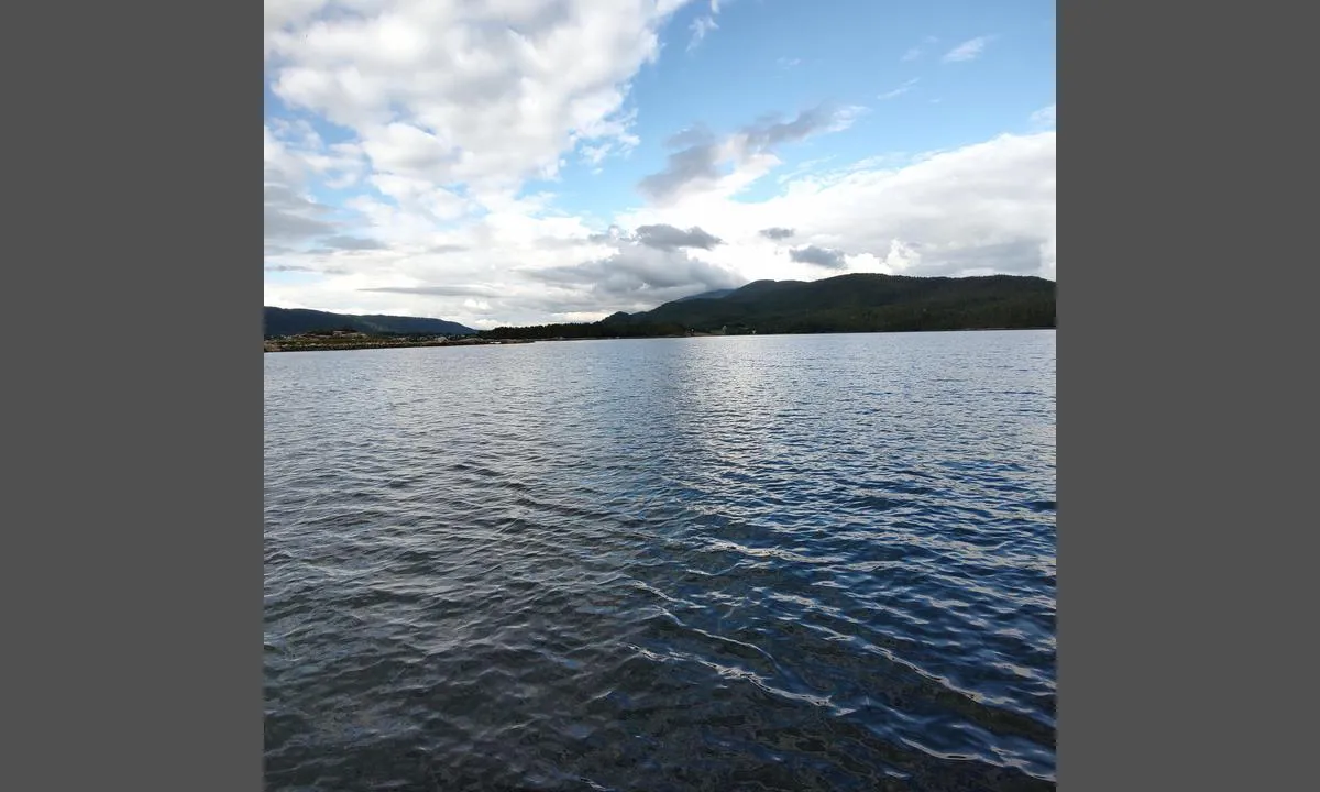 Vågsætervågen