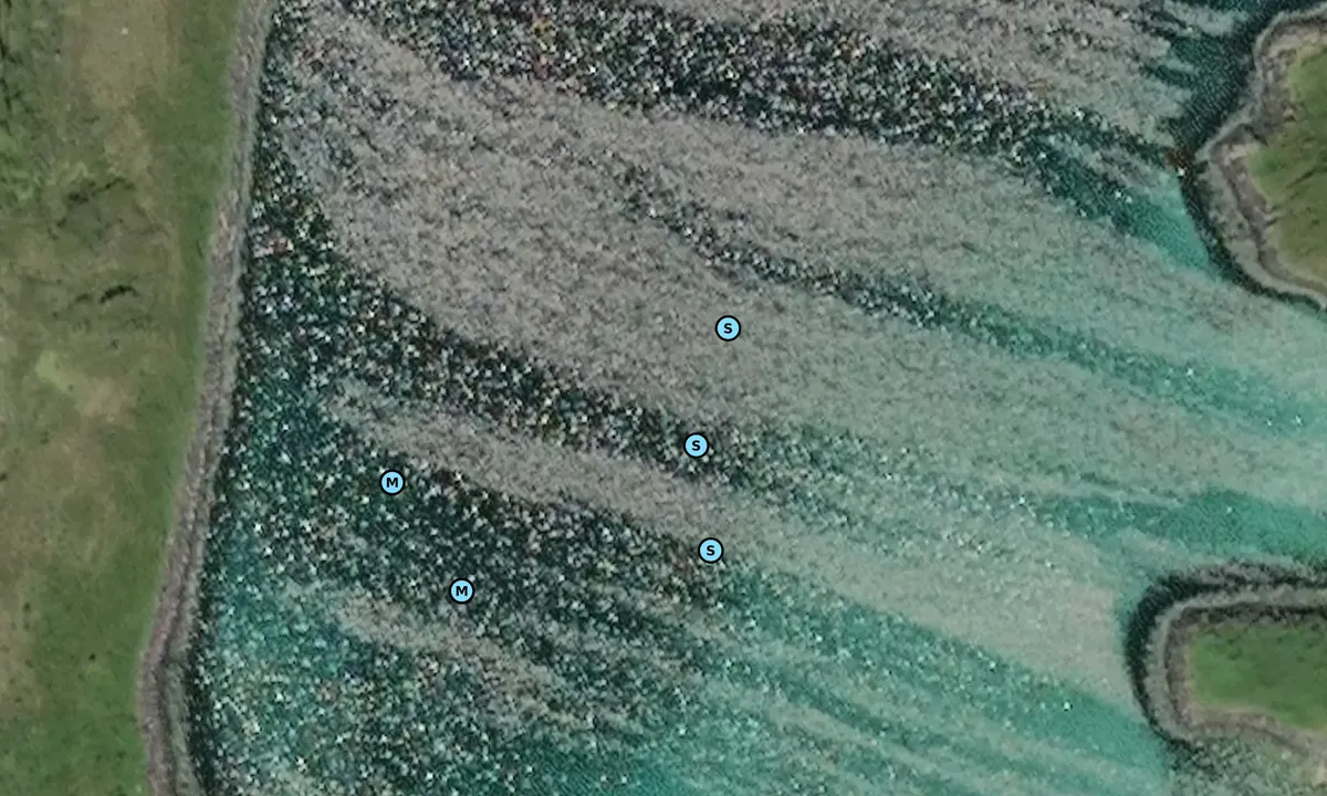 Satelite image of Valen i Kipparfjorden