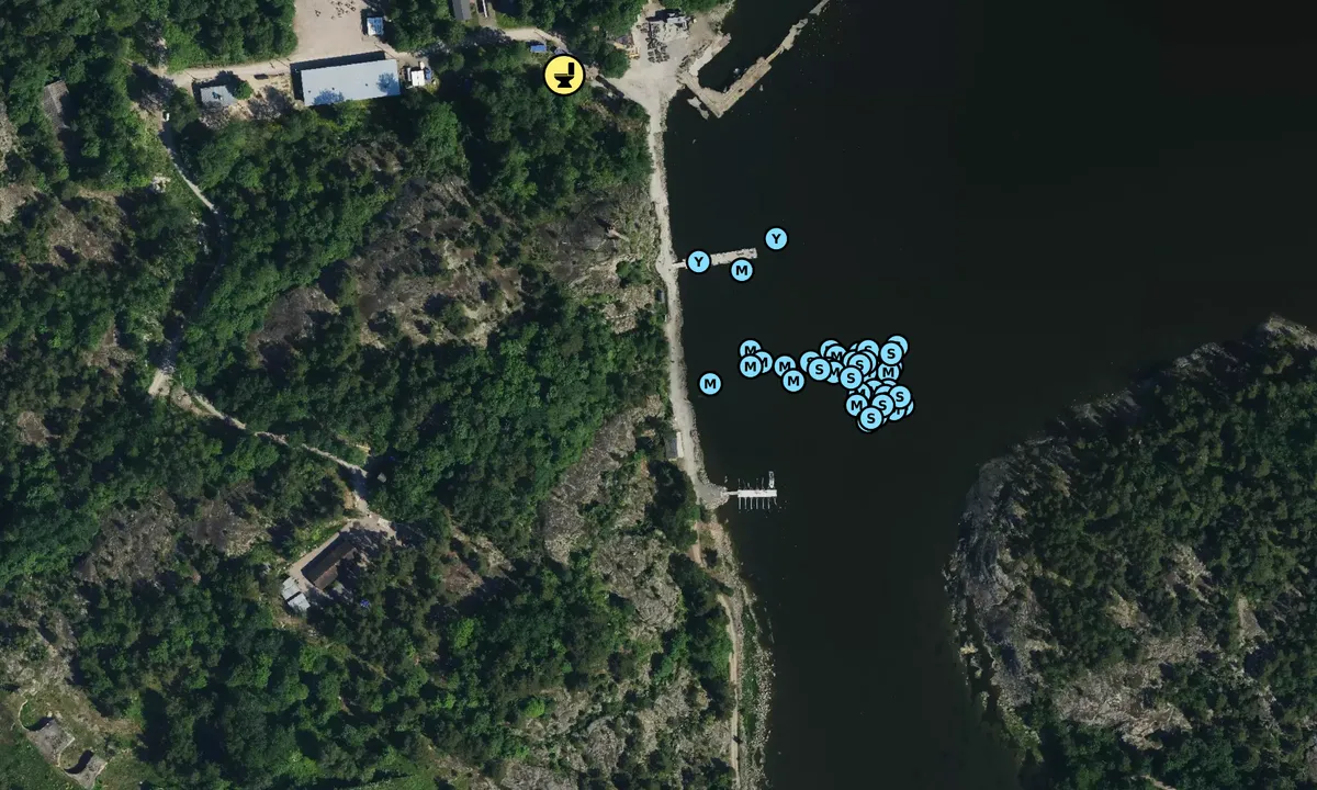 Satelite image of Vallisaari