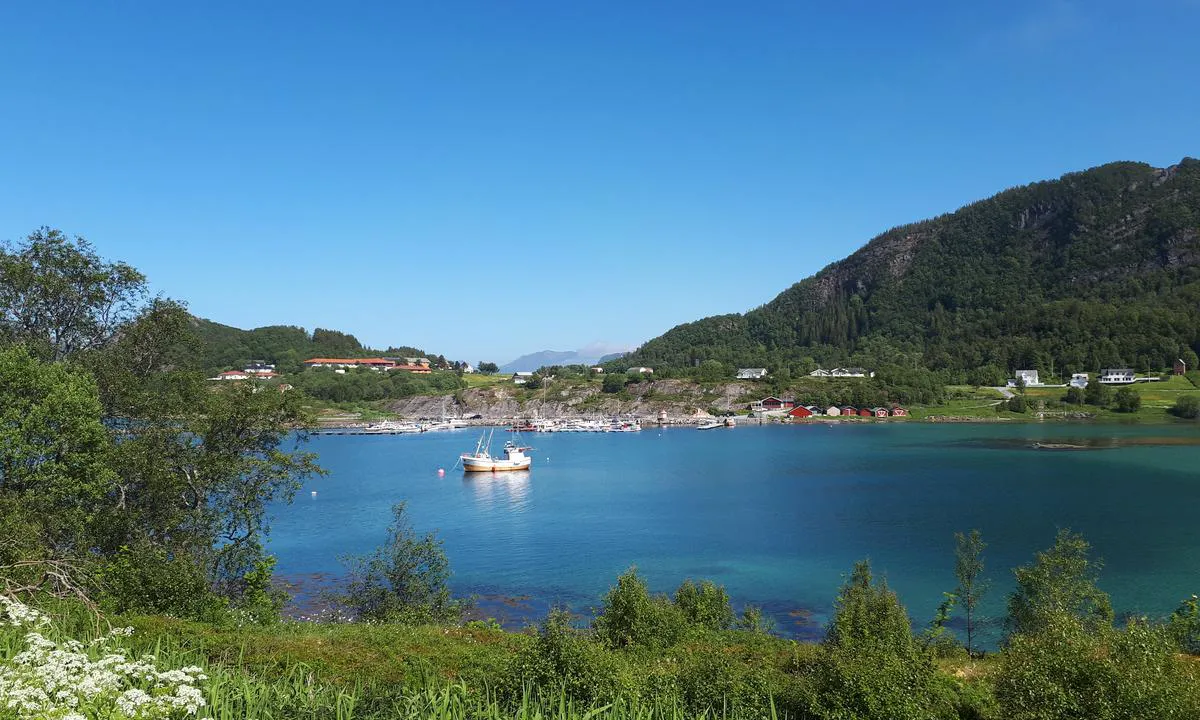 Vallvågen: Godværsbilde.