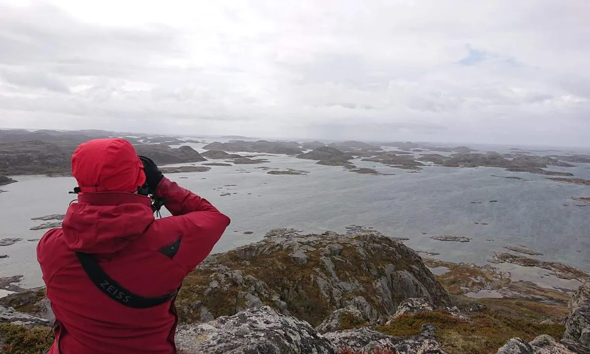 Valøya Båtforening: Fra toppen av Valøytinden.