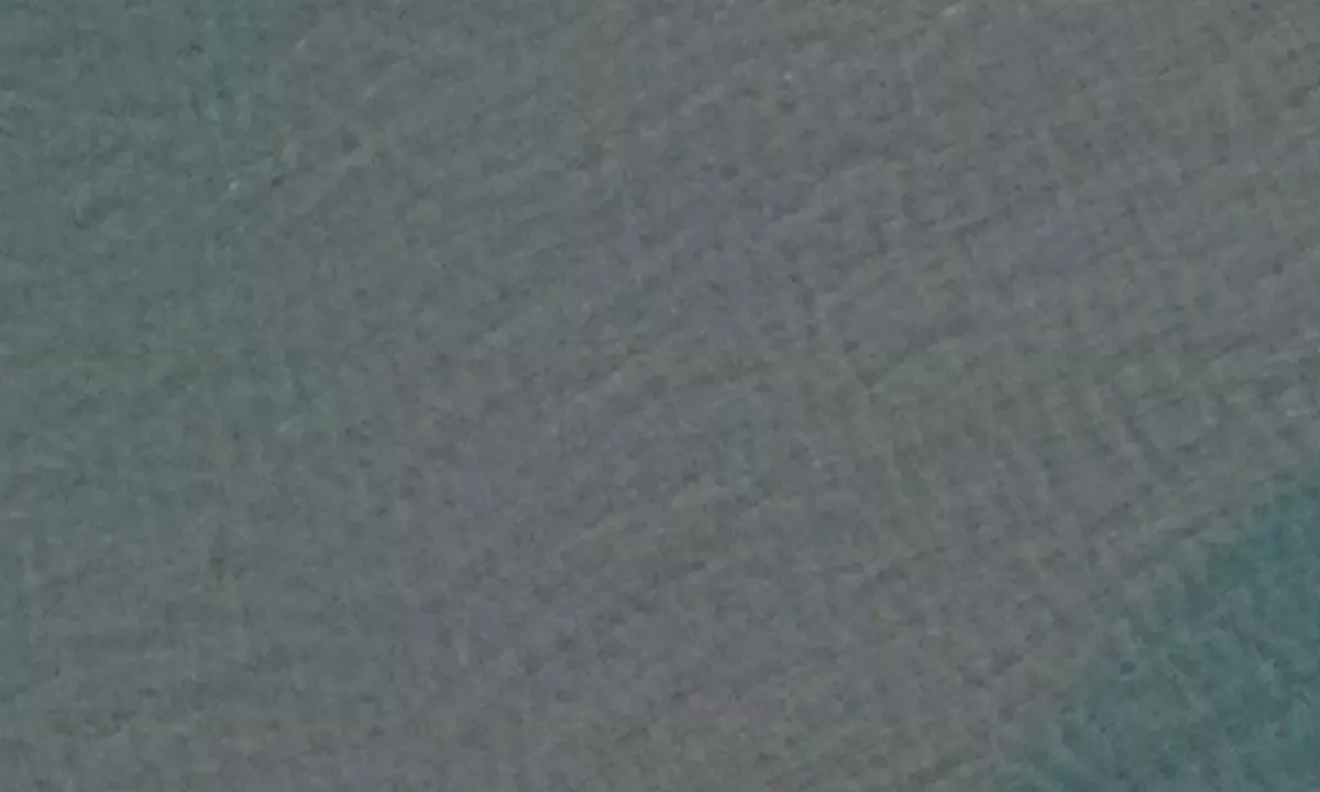 Satelite image of Van Muydenbukta