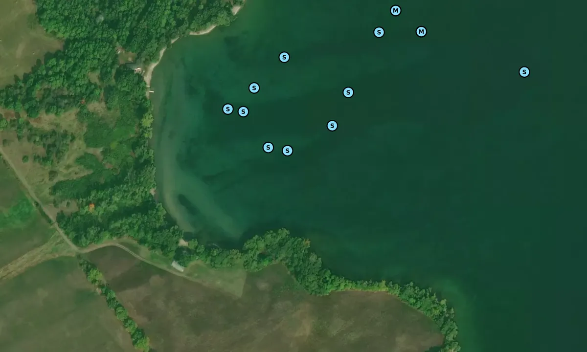 Satelite image of VanDuesens Point