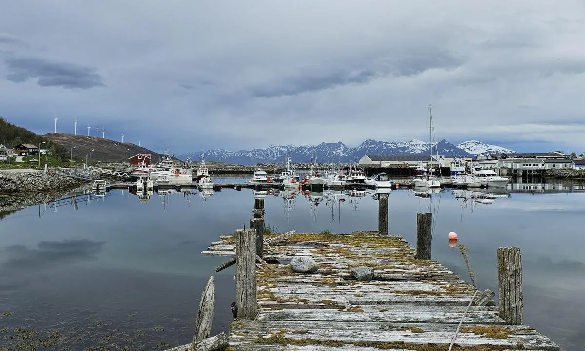 Vannvågen