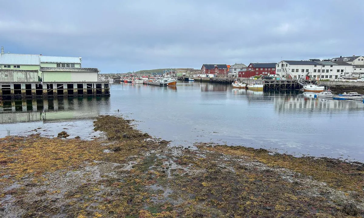 Vardø Havn: {"base": "no", "no": "Drivstoffkai midt i bildet.", "se": "Br\u00e4nslebrygga mitt p\u00e5 bilden.", "en": "Fuel dock in the middle of the picture.", "da": "Br\u00e6ndstofkaj midt i billedet.", "fr": "Quai de ravitaillement en carburant au centre de l'image.", "de": "Treibstoffkai in der Bildmitte.", "es": "Muelle de combustible en el centro de la imagen.", "it": "Molo del carburante al centro dell'immagine.", "pt": "Cais de combust\u00edvel no meio da imagem.", "nl": "Brandstofkade midden in beeld.", "pl": "Pomost paliwowy po\u015brodku obrazu.", "uk": "\u041f\u0440\u0438\u0447\u0430\u043b \u0434\u043b\u044f \u0437\u0430\u043f\u0440\u0430\u0432\u043a\u0438 \u0437\u043d\u0430\u0445\u043e\u0434\u0438\u0442\u044c\u0441\u044f \u043f\u043e\u0441\u0435\u0440\u0435\u0434\u0438\u043d\u0456 \u0437\u043e\u0431\u0440\u0430\u0436\u0435\u043d\u043d\u044f.", "ro": "Cheiul de combustibil \u00een centrul imaginii.", "tr": "G\u00f6r\u00fcnt\u00fcn\u00fcn ortas\u0131nda akaryak\u0131t iskelesi.", "el": "\u03a0\u03c1\u03bf\u03b2\u03bb\u03ae\u03c4\u03b1 \u03ba\u03b1\u03c5\u03c3\u03af\u03bc\u03c9\u03bd \u03c3\u03c4\u03b7 \u03bc\u03ad\u03c3\u03b7 \u03c4\u03b7\u03c2 \u03b5\u03b9\u03ba\u03cc\u03bd\u03b1\u03c2.", "cs": "\u010cerpac\u00ed molo uprost\u0159ed obr\u00e1zku.", "hu": "\u00dczemanyag m\u00f3l\u00f3 a k\u00e9p k\u00f6zep\u00e9n.", "fi": "Polttoainelaituri keskell\u00e4 kuvaa.", "bg": "\u041f\u0440\u0438\u0441\u0442\u0430\u043d\u0438\u0449\u0435 \u0437\u0430 \u0433\u043e\u0440\u0438\u0432\u043e \u0432 \u0441\u0440\u0435\u0434\u0430\u0442\u0430 \u043d\u0430 \u0438\u0437\u043e\u0431\u0440\u0430\u0436\u0435\u043d\u0438\u0435\u0442\u043e.", "sr": "\u0413\u043e\u0440\u0438\u0432\u043d\u0438 \u043a\u0435\u0458 \u0443 \u0441\u0440\u0435\u0434\u0438\u043d\u0438 \u0441\u043b\u0438\u043a\u0435.", "et": "K\u00fctusekai pildi keskel.", "lv": "Degvielas piest\u0101tne att\u0113la vid\u016b.", "lt": "Degal\u0173 prieplauka paveikslo viduryje."}