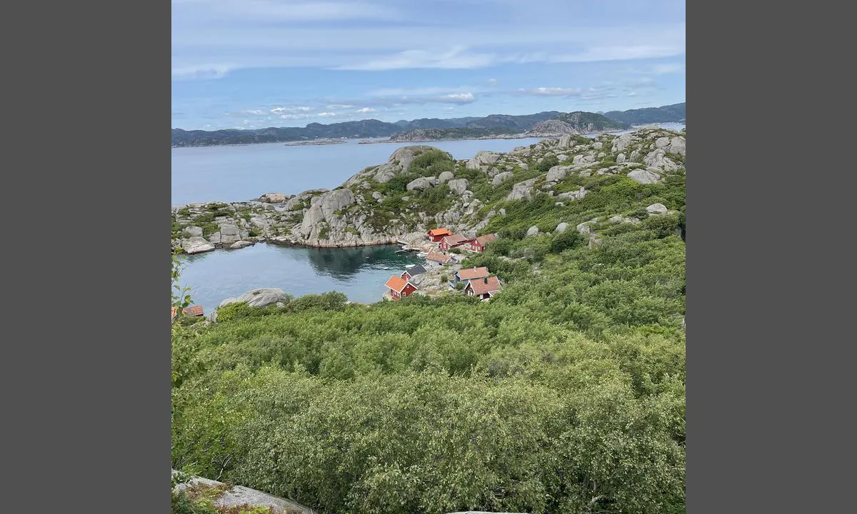 Gulaberget - Våre