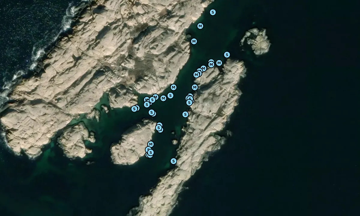 Satelite image of Vasholmarna