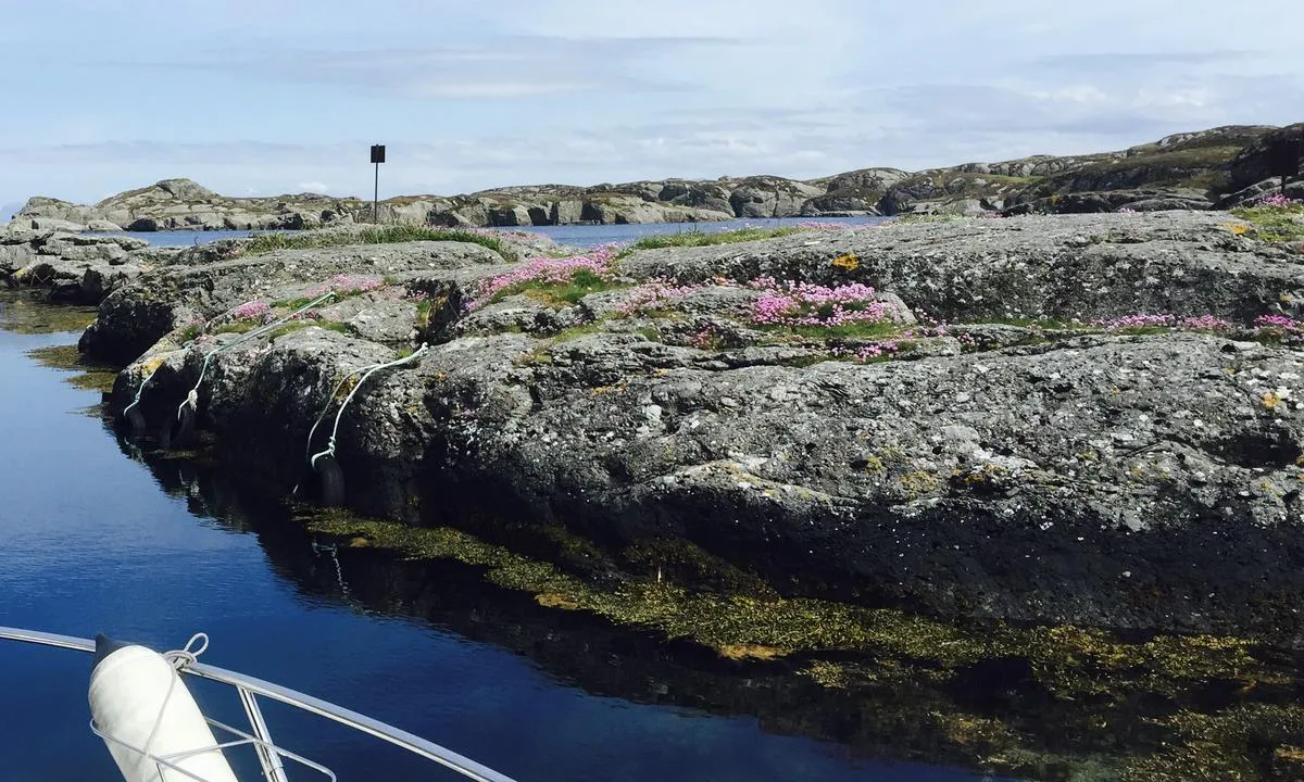 Vassøyene: Fendret langs fjellet ett sted. Her er og skilt som informerer om fuglereservat og ilandstigningstider.