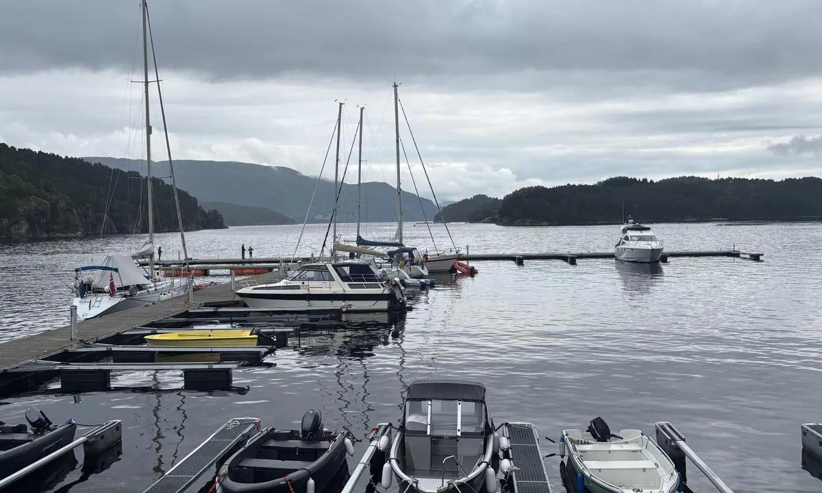 Vatlandsvåg