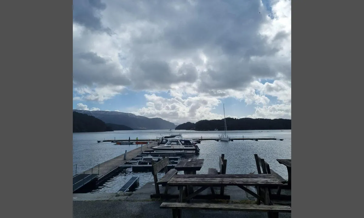 Vatlandsvåg