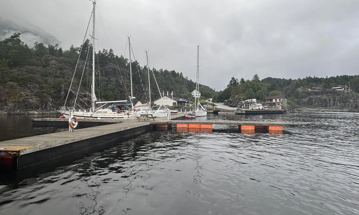 Vatlandsvåg