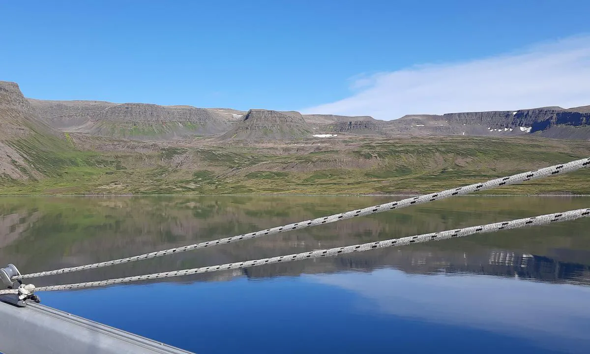 Veiðileysufjörður (upper reaches)