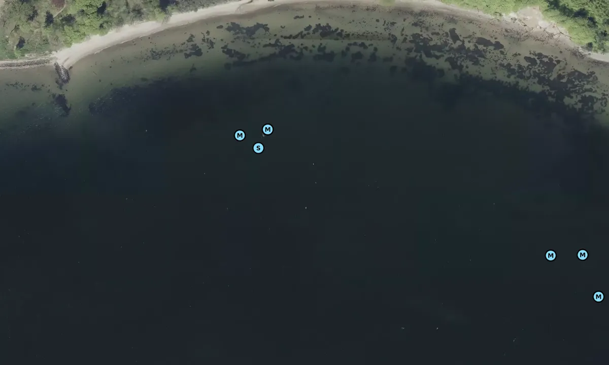 Satelite image of Vejle Fjord - Fakkegrav bouy