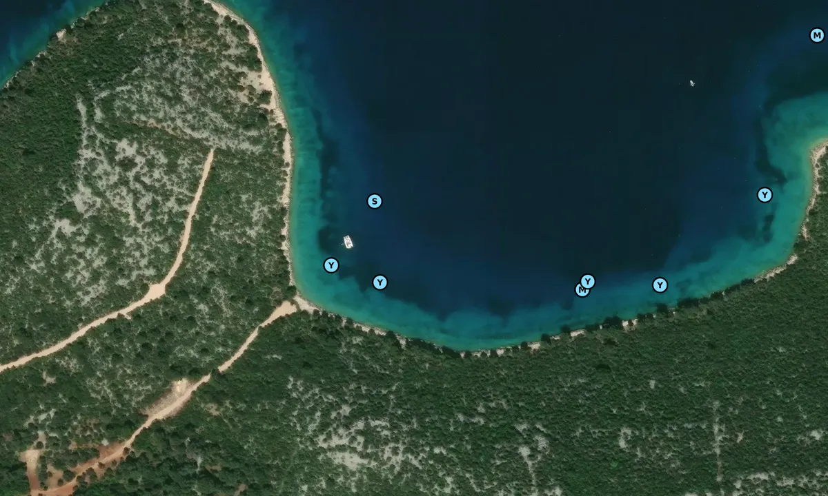 Satelite image of Velika Ostrica - North (central)