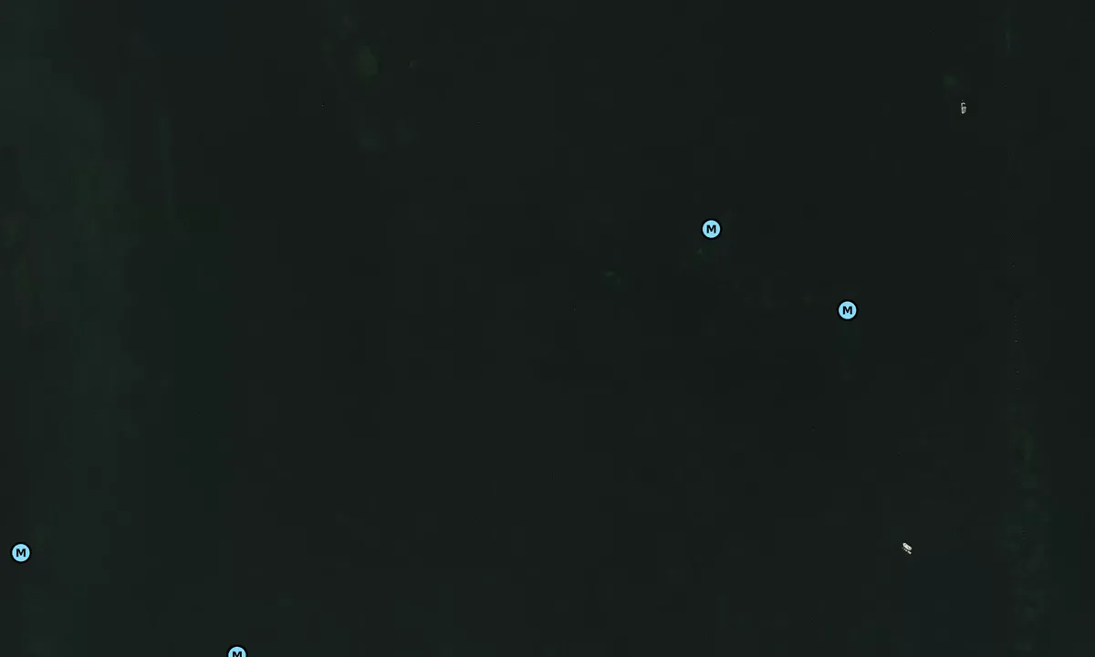 Satelite image of Venetian Biscayne Bay