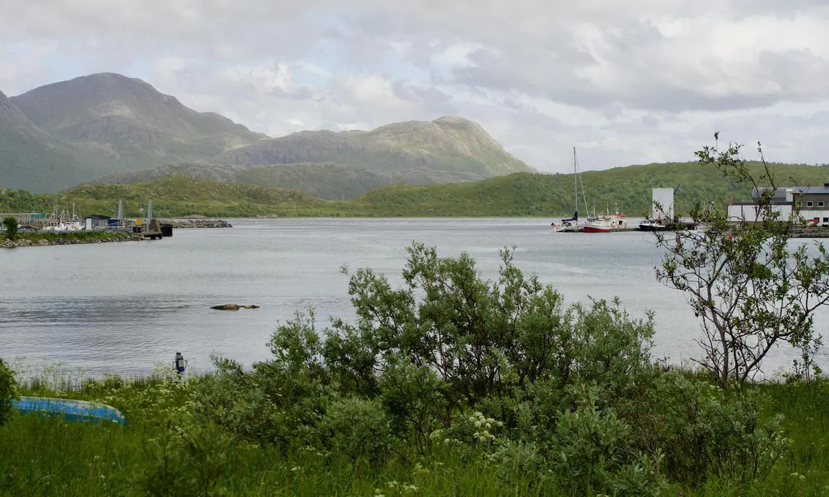 Vengsøya fiskebruk