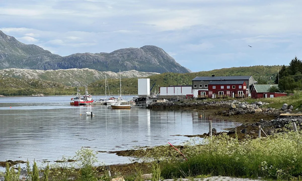 Vengsøya fiskebruk