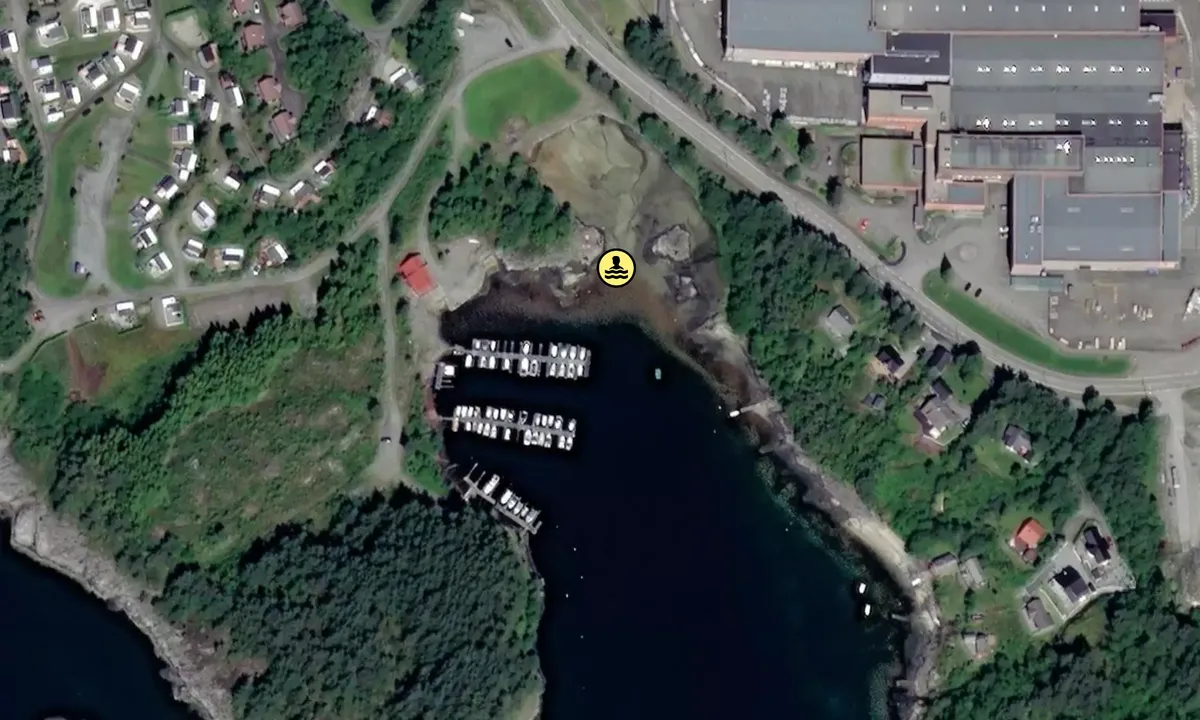 Satelite image of Venjanesvågen