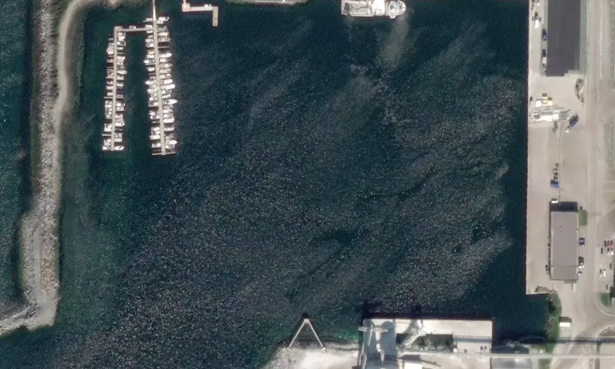 Satelite image of Verdal Båteierforening