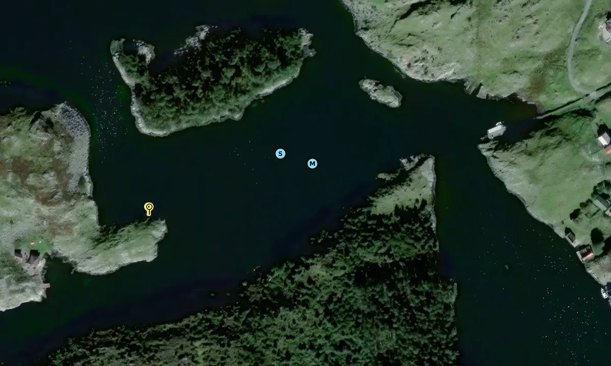 Satelite image of Vestre Årsvågen