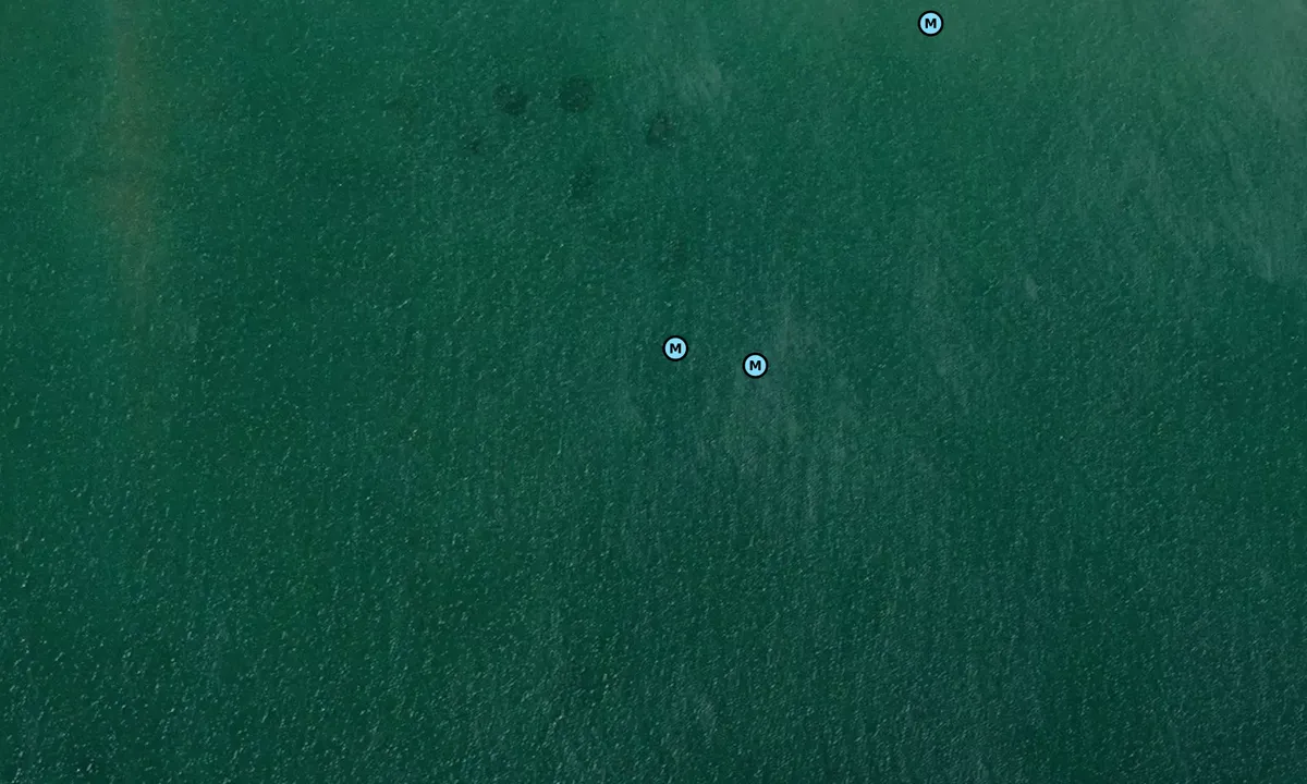 Satelite image of Vidal Island