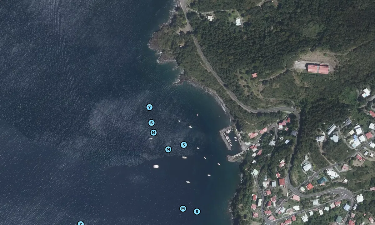 Satelite image of Vieux Fort 1
