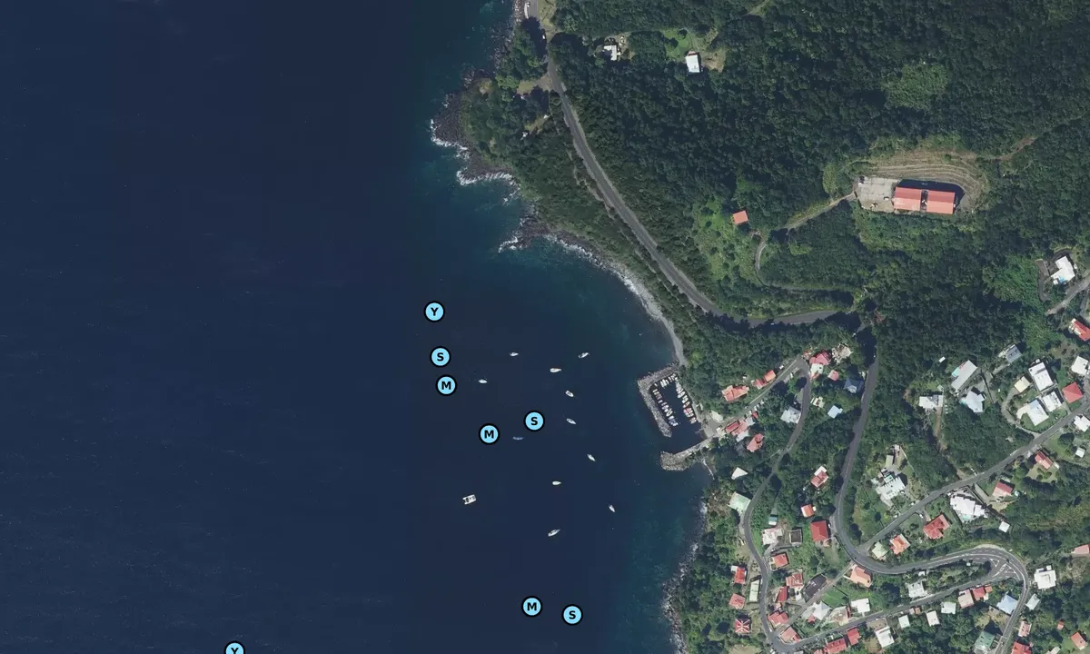 Satelite image of Vieux Fort 1