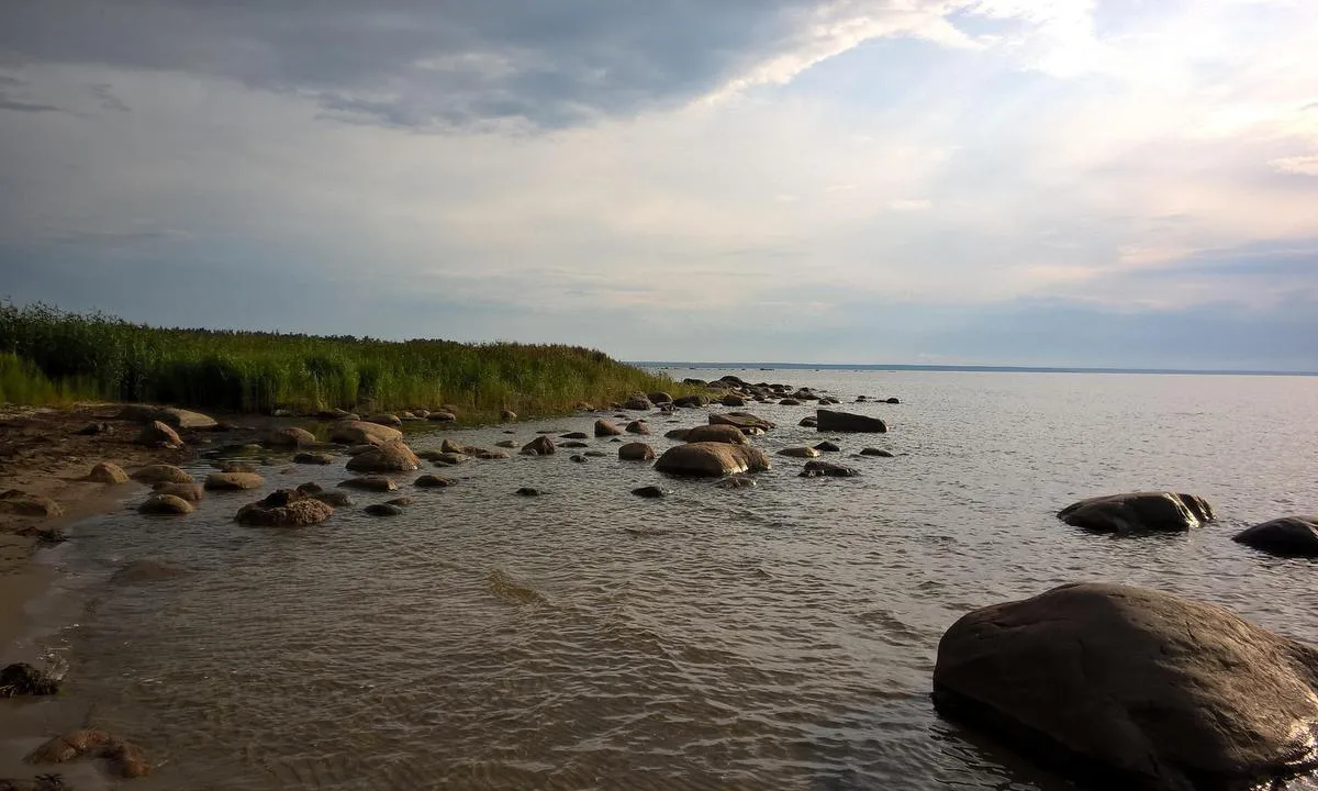 Viinistu Harbour: Vinistu shoreline