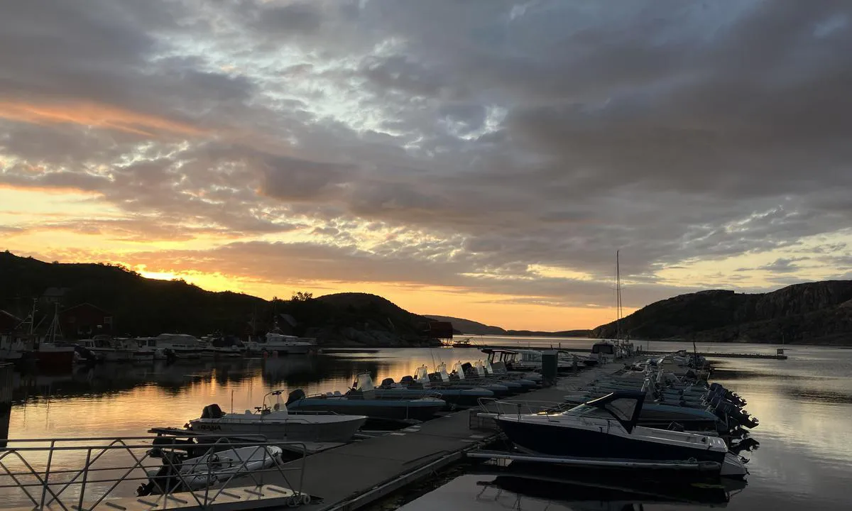 Vik Båtforening