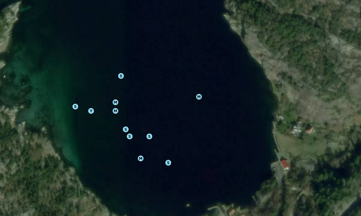 Satelite image of Vikavågen - Lysefjorden