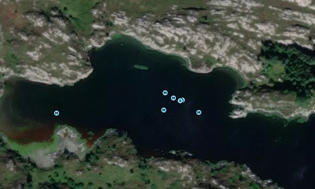Satelite image of Vikingevågen