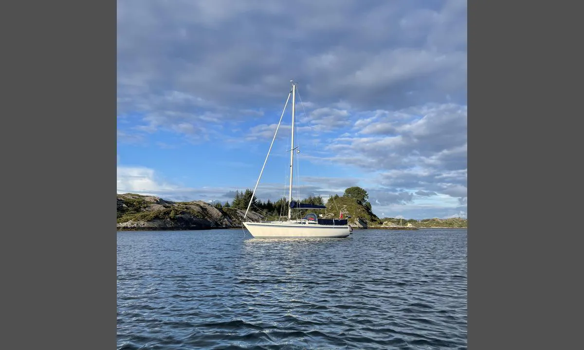 Vikingevågen: Innerst i Vikingavågen.