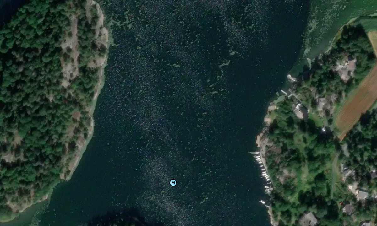 Satelite image of Viksfjord